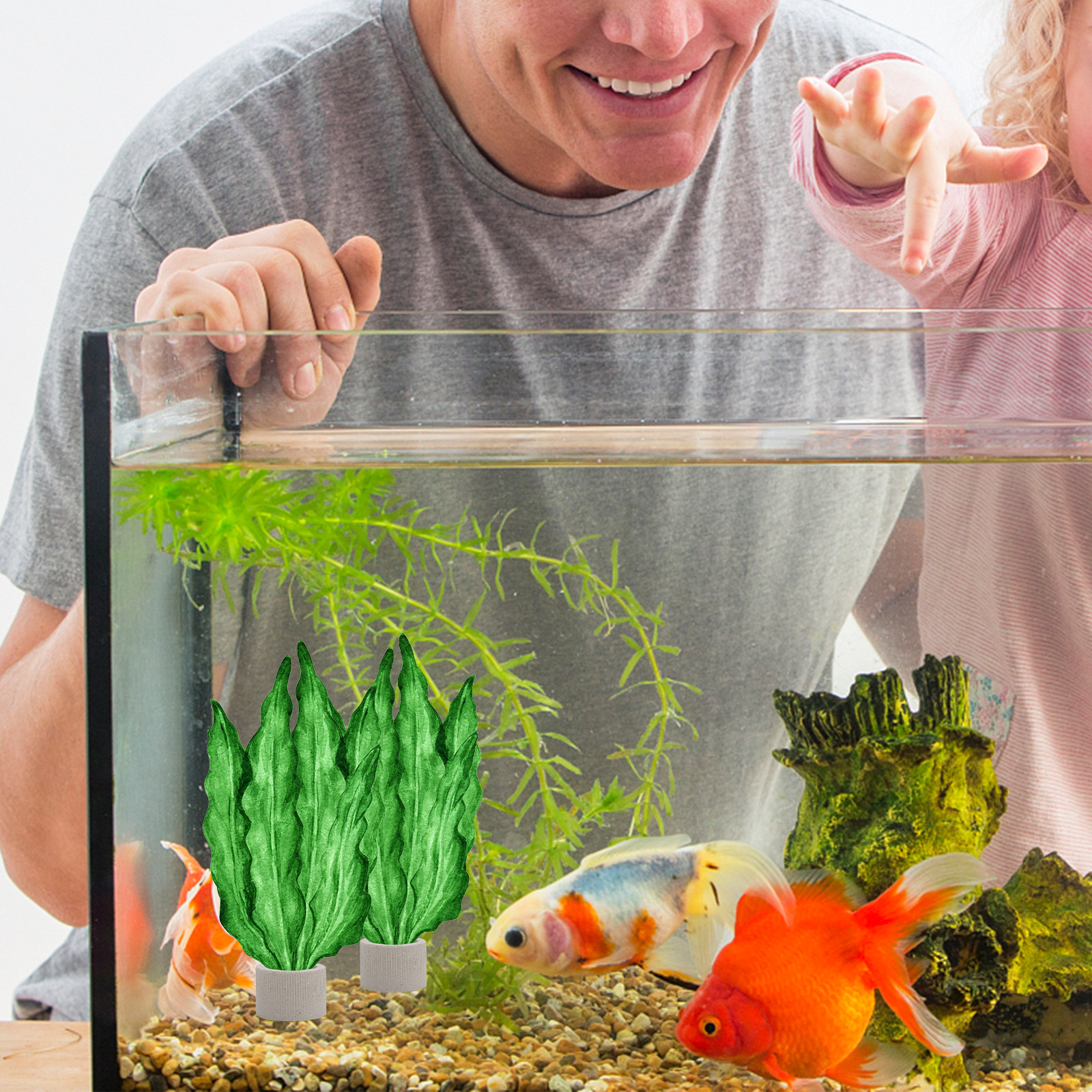 Aquarium Planting - 5Pcs Premium Pottery Water Plant Fixed