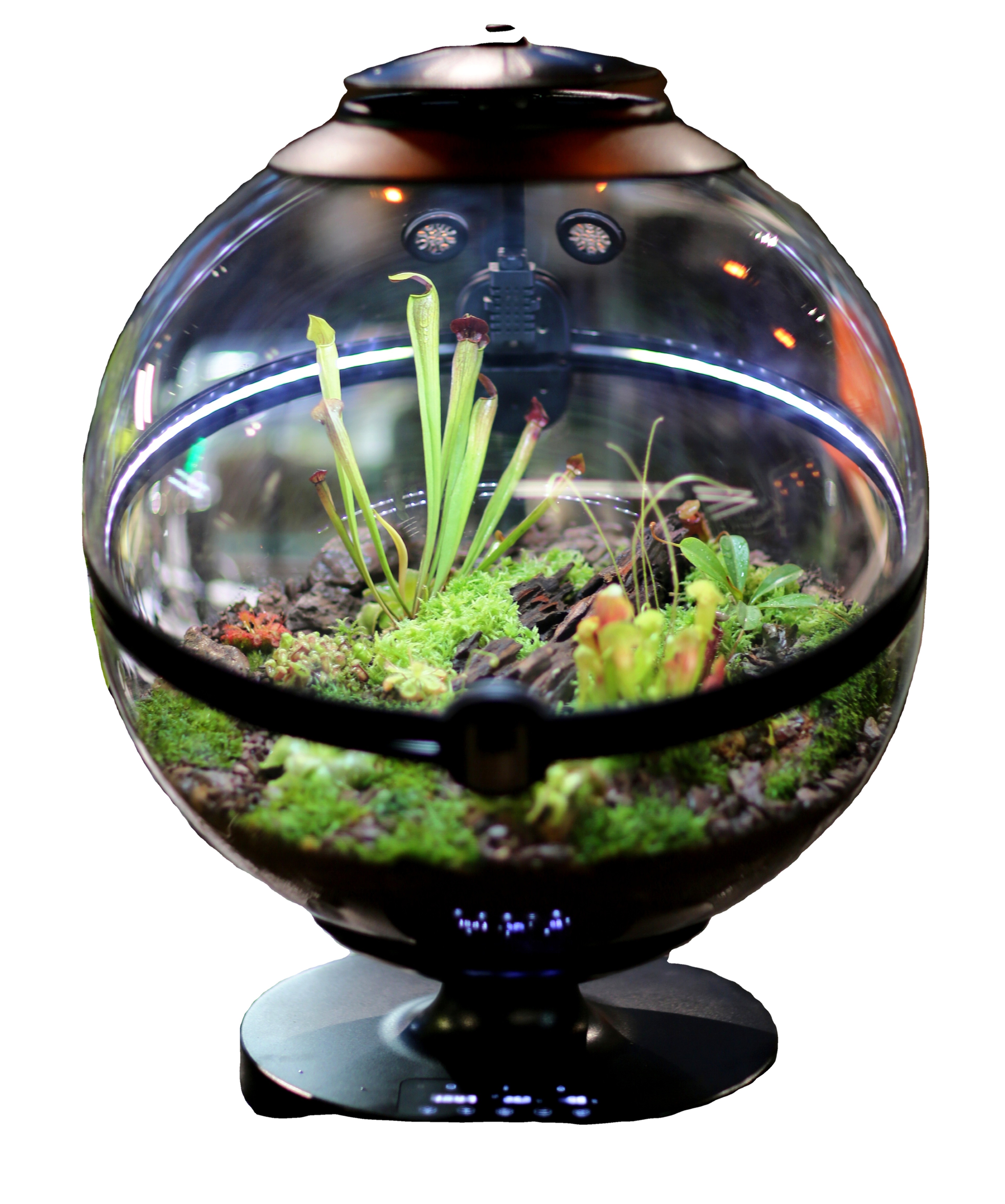 Planted Aquarium For Sale - Hot Sales Acrylic Material Ball Plant