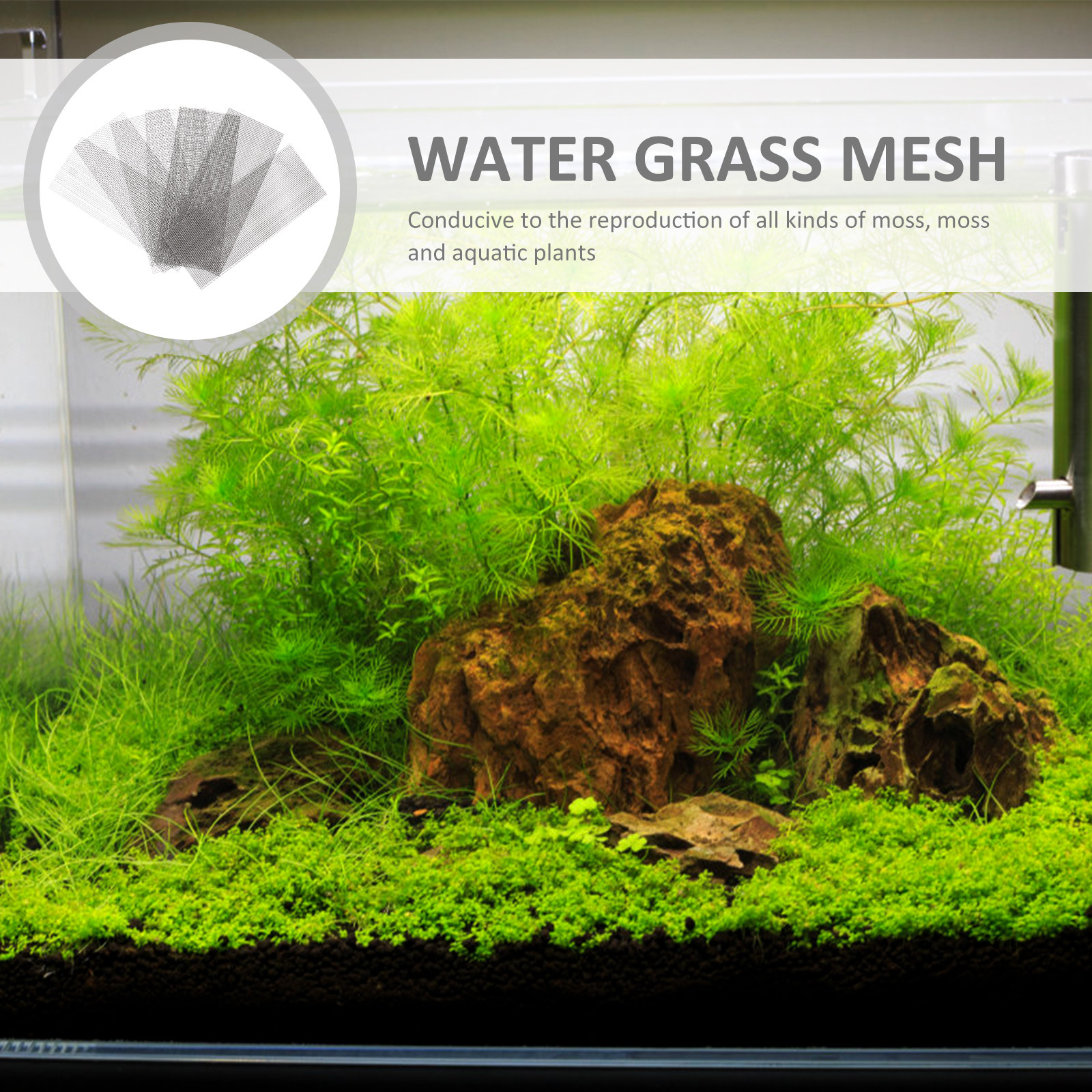 Aquarium Planting - 10Pcs Aquarium Plant Fixed Net Stainless