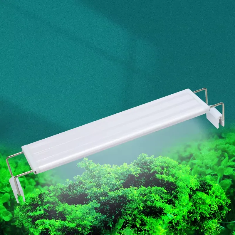 Planted Aquarium Hours - YEE Modern Full Spectrum LED Aquarium
