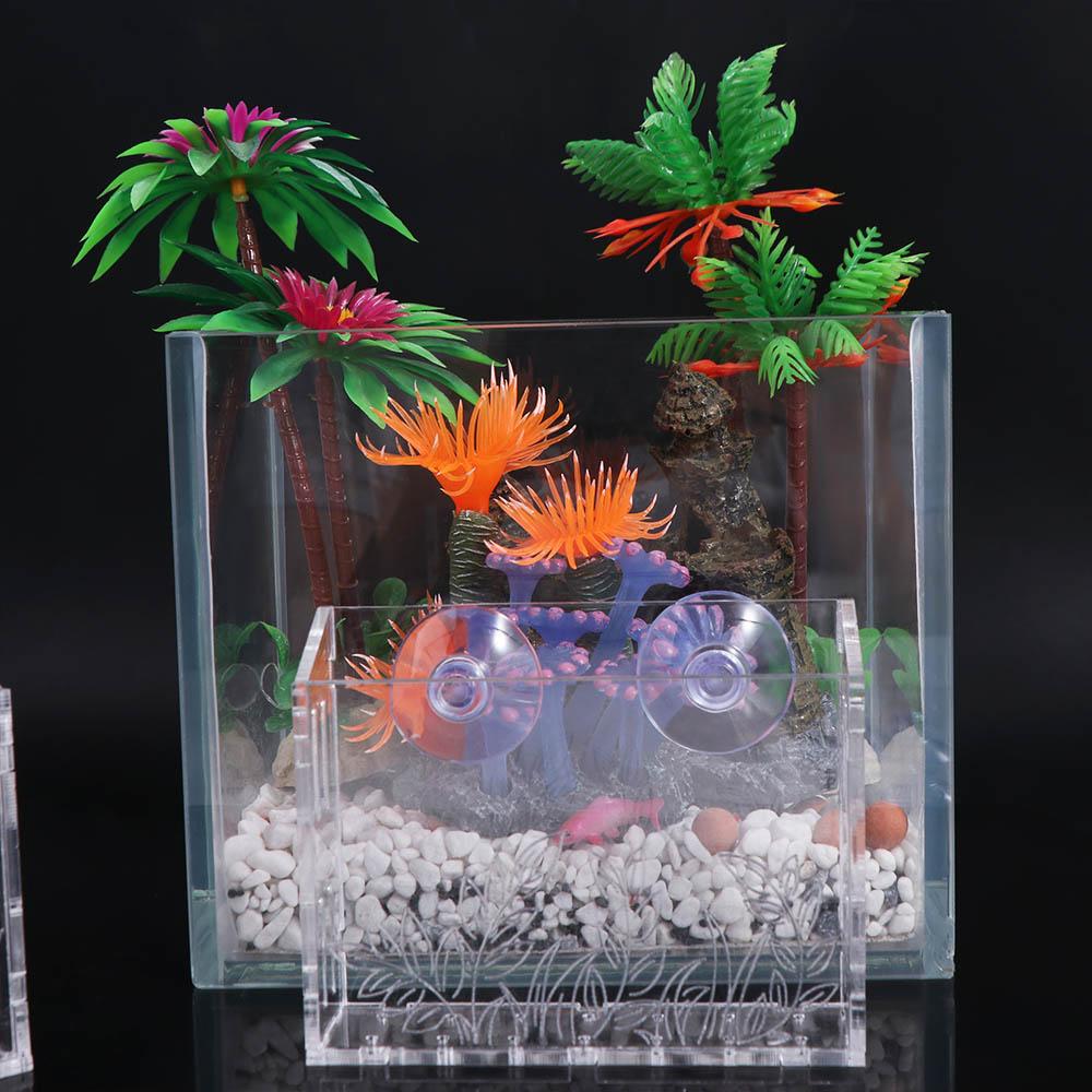 Wall Hanging Aquarium Plants C – обзор и цена Aquarium Planted Wall