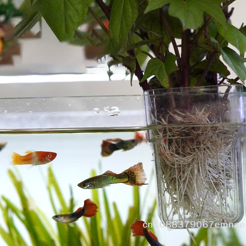 Wall-Mounted Transparent Hydro – обзор и цена Aquarium Planted Tank Setup