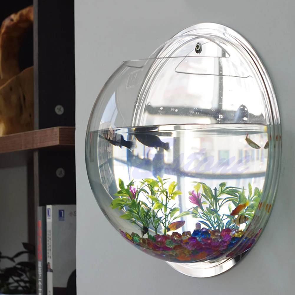 Wall Mounted Acrylic Fish Bowl – обзор и цена Aquarium Planted Wall
