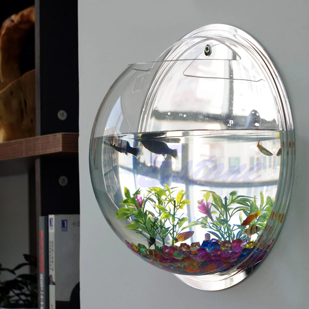 Wall Mounted Acrylic Fish Bowl – обзор и цена Aquarium Planted Wall