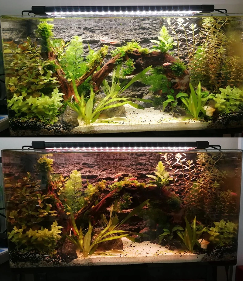 Aquarium LED Lighting 24/7 Hou – обзор и цена Planted Aquarium Hours