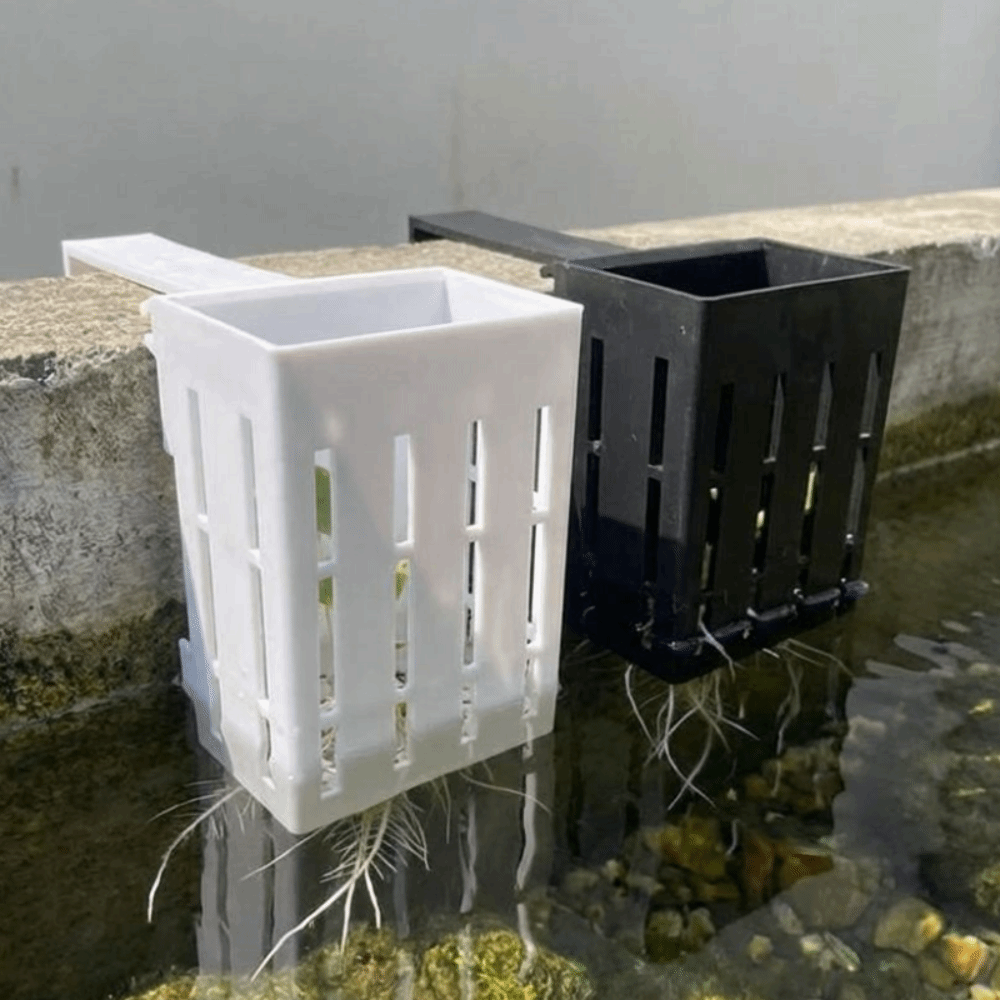 Wall-Mounted Aquarium Plant Ba – обзор и цена Aquarium Planted Wall