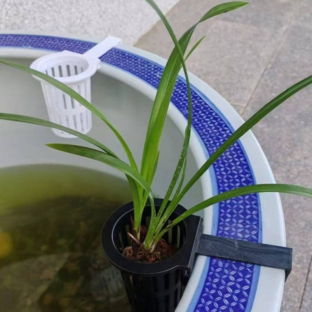 Wall-Mounted Aquarium Plant Ba – обзор и цена Aquarium Planted Wall