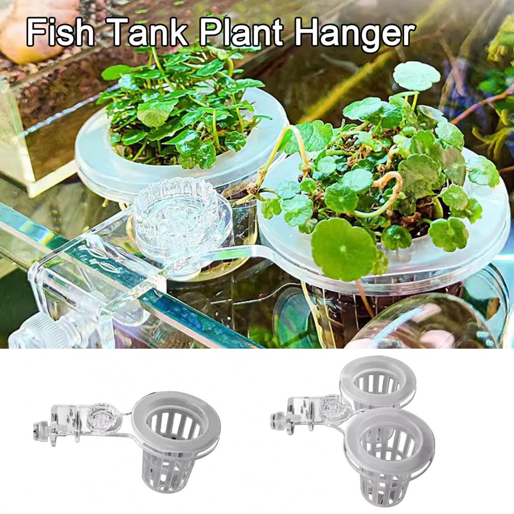 Aquarium Plant Holder Wall-Mou – обзор и цена Aquarium Planted Wall