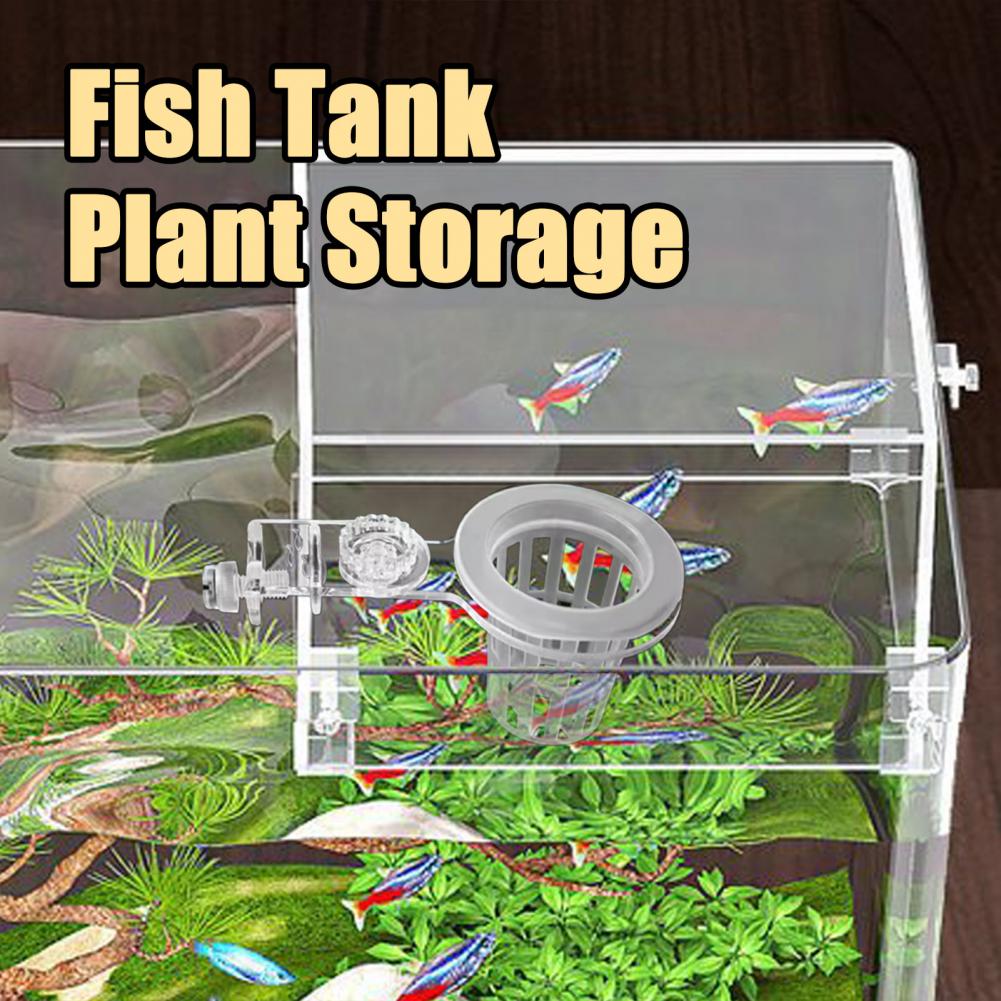 Aquarium Plant Holder Wall-Mou – обзор и цена Aquarium Planted Wall