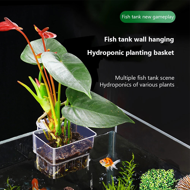 New【Hanging Aquarium Planter C – обзор и цена Aquarium Planted Wall