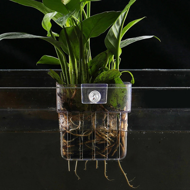 New【Hanging Aquarium Planter C – обзор и цена Aquarium Planted Wall