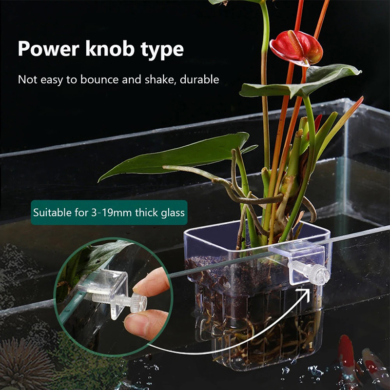 New【Hanging Aquarium Planter C – обзор и цена Aquarium Planted Wall