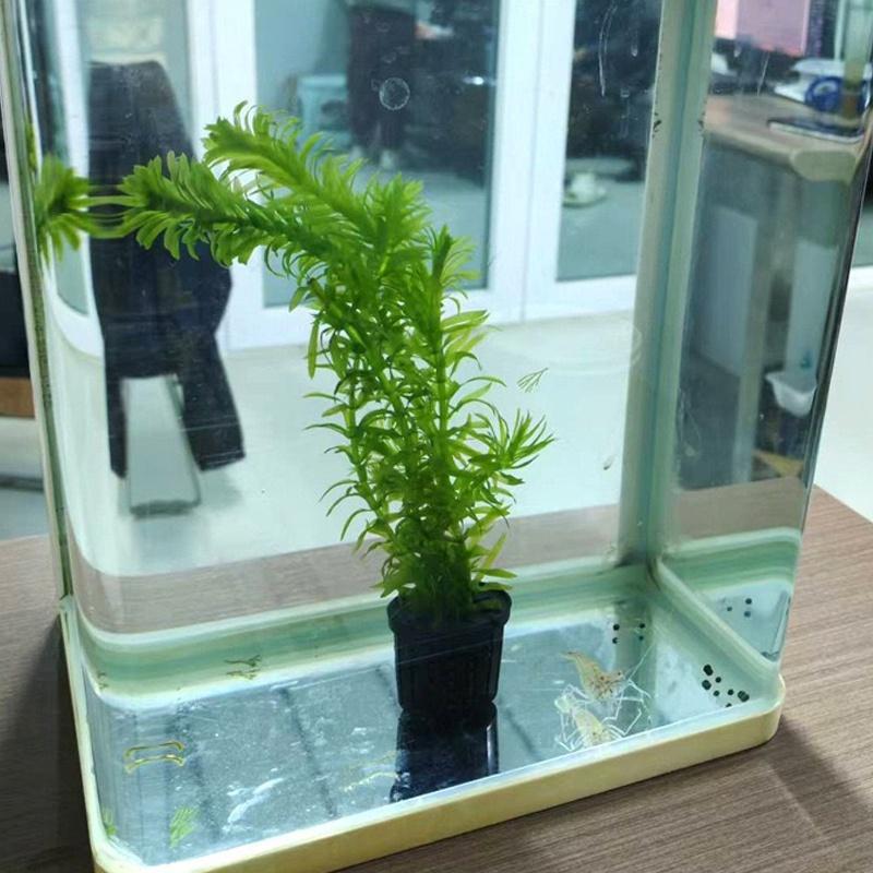 4Pcs Pet Fish Tank Landscaping – обзор и цена Aquarium Planting