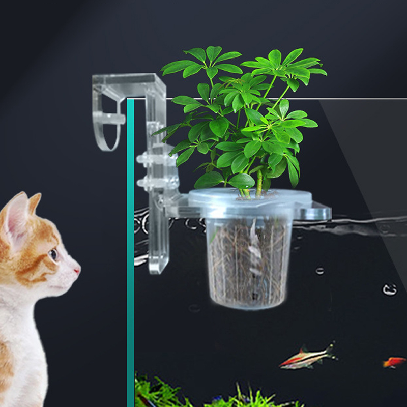 Fish Tank Planting Cups Hydrop – обзор и цена Aquarium Planted Wall