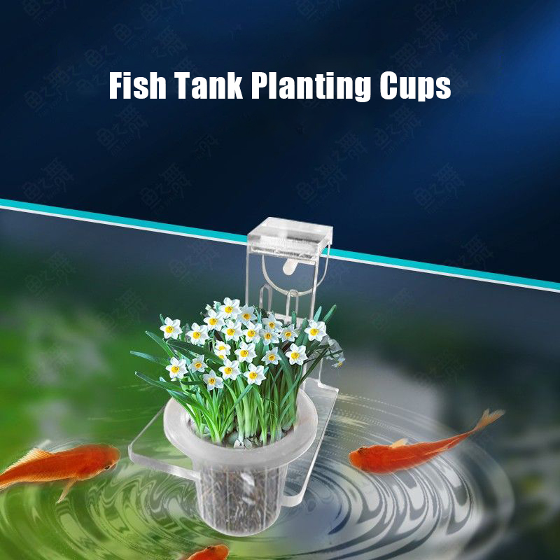 Fish Tank Planting Cups Hydrop – обзор и цена Aquarium Planted Wall