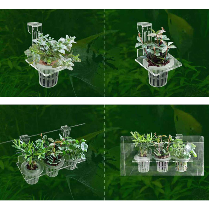 Fish Tank Planting Cups Hydrop – обзор и цена Aquarium Planted Wall
