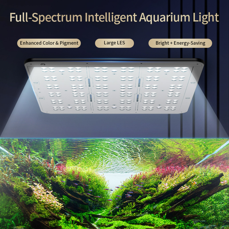 KASSRAY T200/T300 IR-A+UV Natu – обзор и цена Planted Aquarium Uv Light
