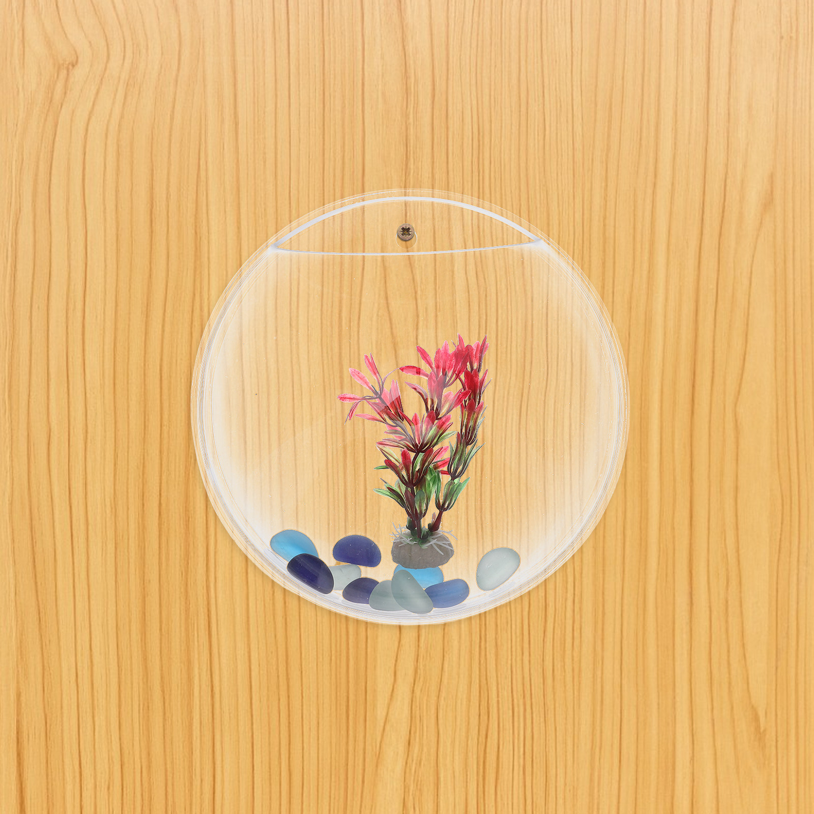 1Set Clear Acrylic Wall Mounte – обзор и цена Aquarium Planting