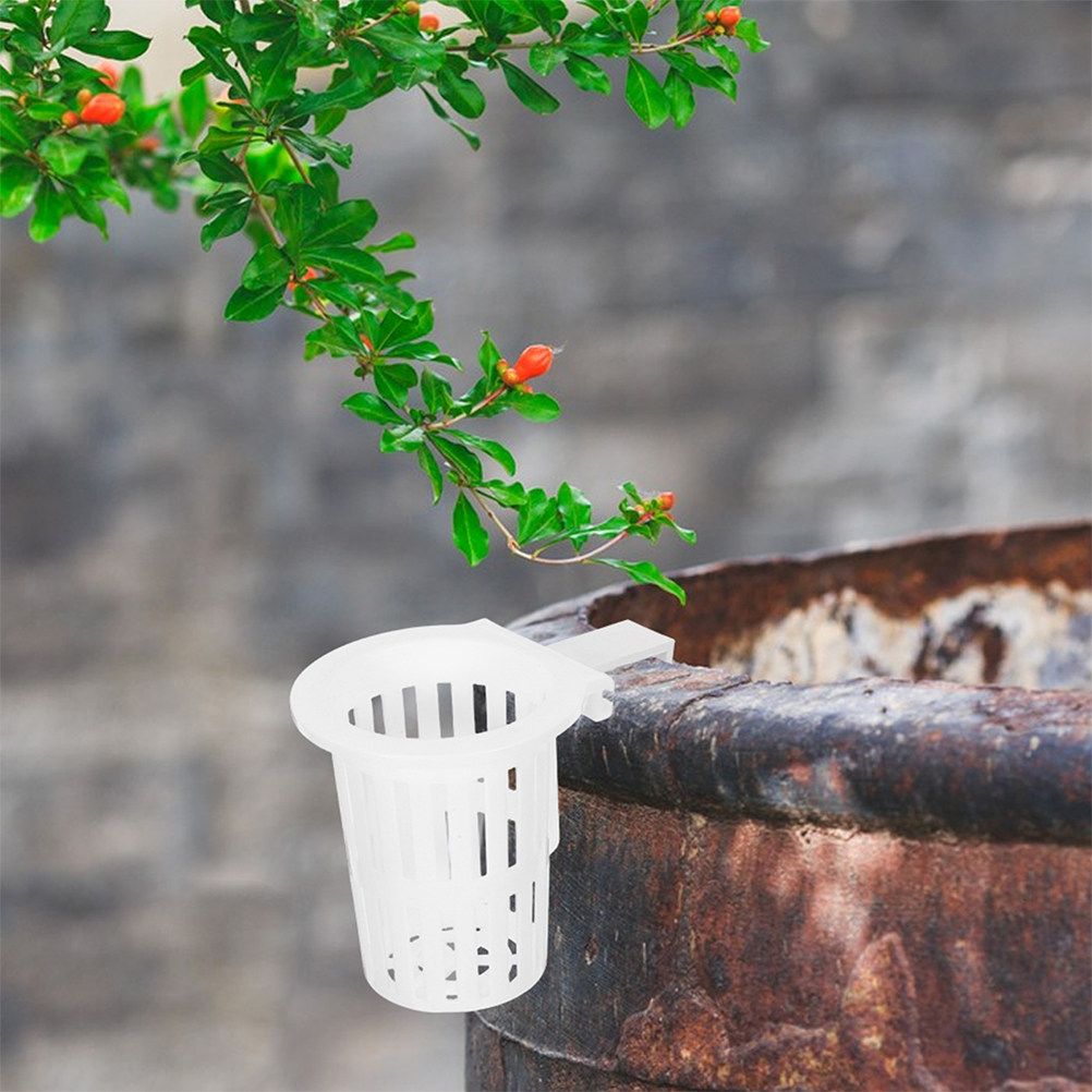 4Pcs Wall Mounted Hydroponic B – обзор и цена Aquarium Planted Wall