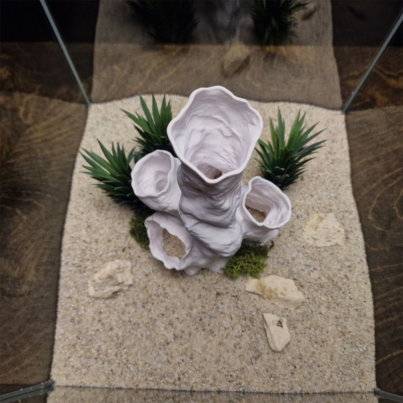 Hot Sale 3D Printed Coral Tunn – обзор и цена Planted Aquarium For Sale