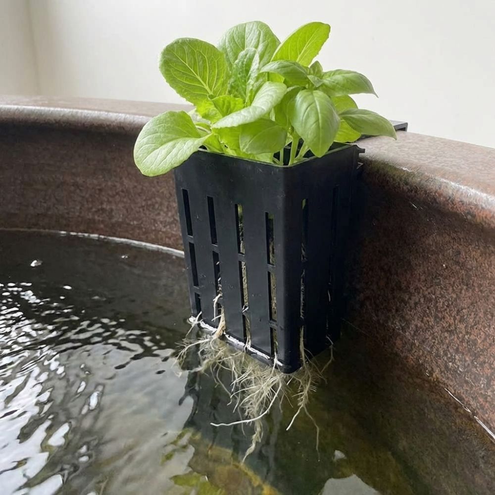 Wall-Mounted Aquarium Plant Ba – обзор и цена Aquarium Planted Wall