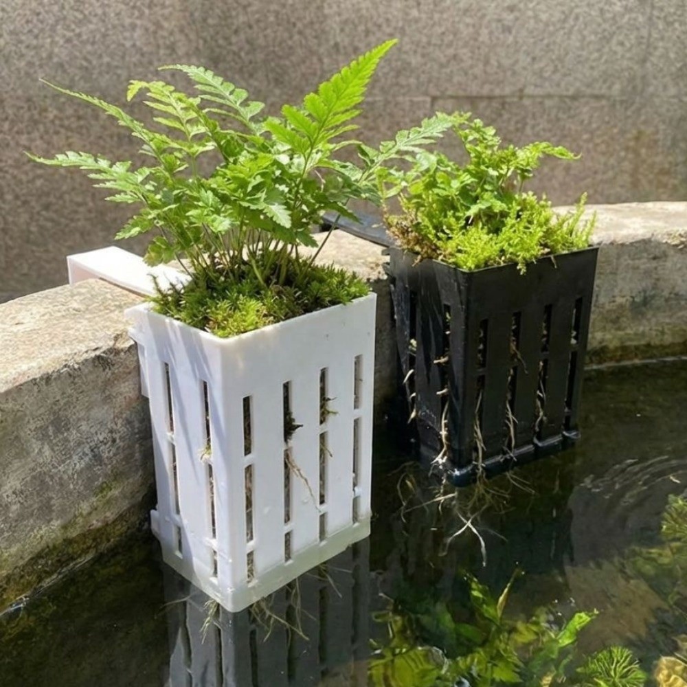 Wall-Mounted Aquarium Plant Ba – обзор и цена Aquarium Planted Wall