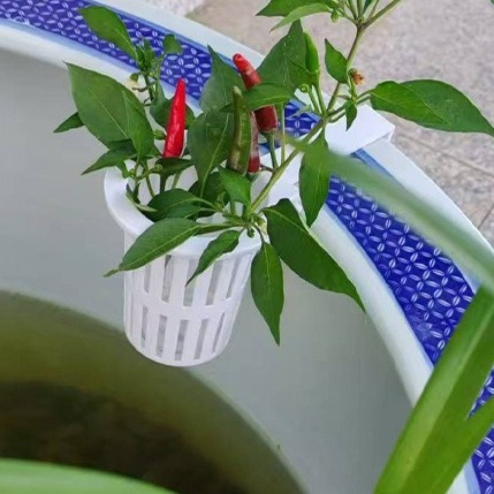 Wall-Mounted Aquarium Plant Ba – обзор и цена Aquarium Planted Wall