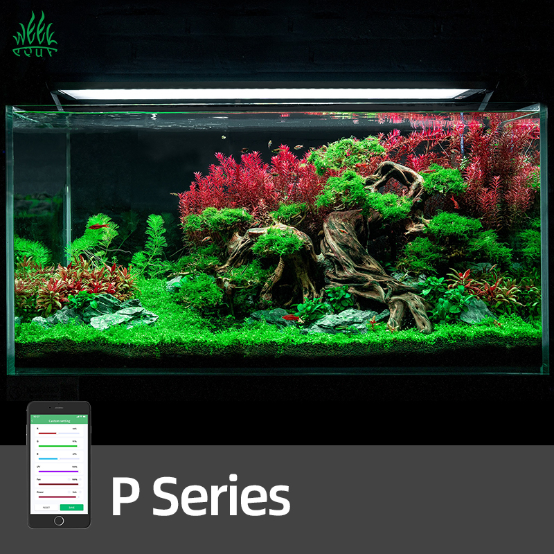 WEEK AQUA Pandora P Series Aqu – обзор и цена Planted Aquarium Uv Light