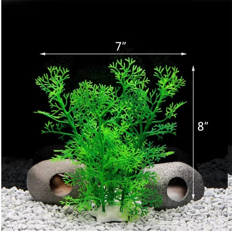 10pcs Hot Selling New Arrival  – обзор и цена Planted Aquarium For Sale