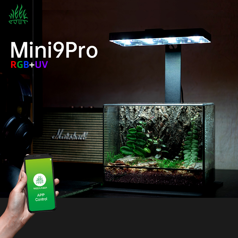 Hot Sale Mini9pro Nano Terrari – обзор и цена Planted Aquarium For Sale