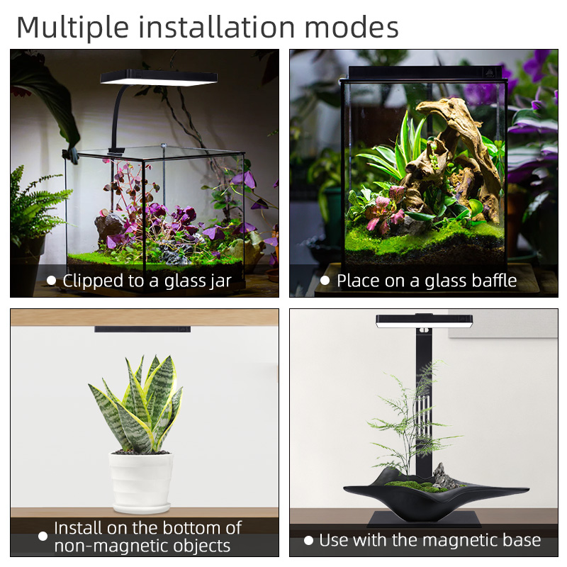 Hot Sale Mini9pro Nano Terrari – обзор и цена Planted Aquarium For Sale