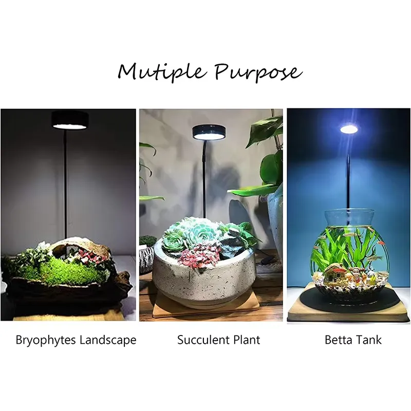 Full Spectrum LED Light with B – обзор и цена Planted Aquarium Hours