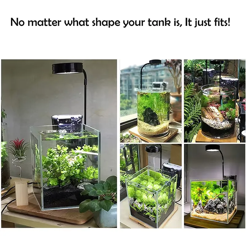 Full Spectrum LED Light with B – обзор и цена Planted Aquarium Hours