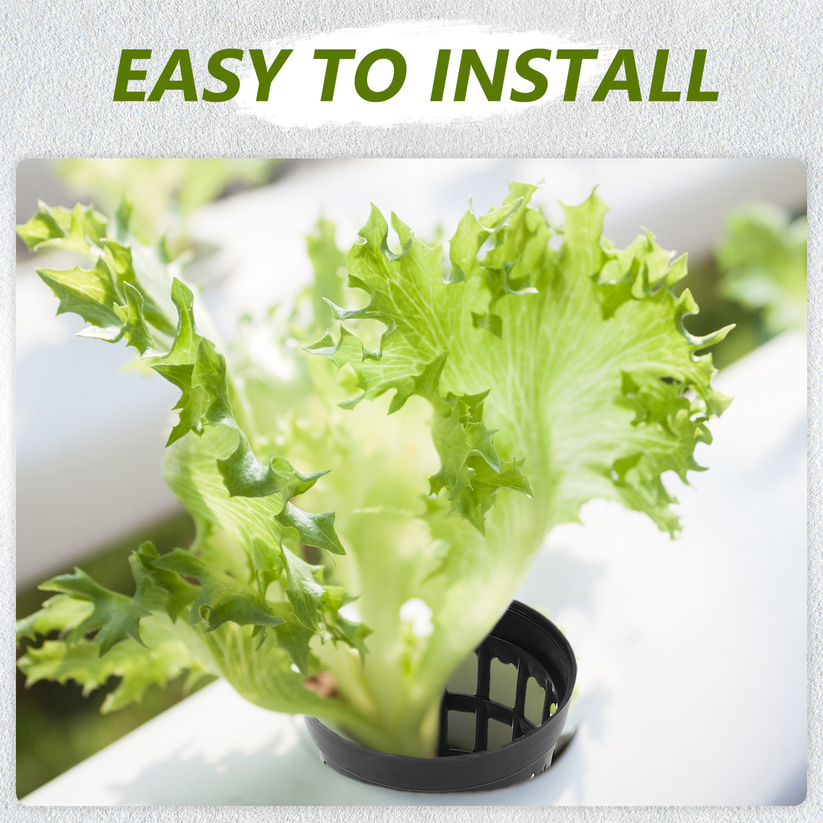 40Pcs Aquarium Plant Holder Pl – обзор и цена Aquarium Planting