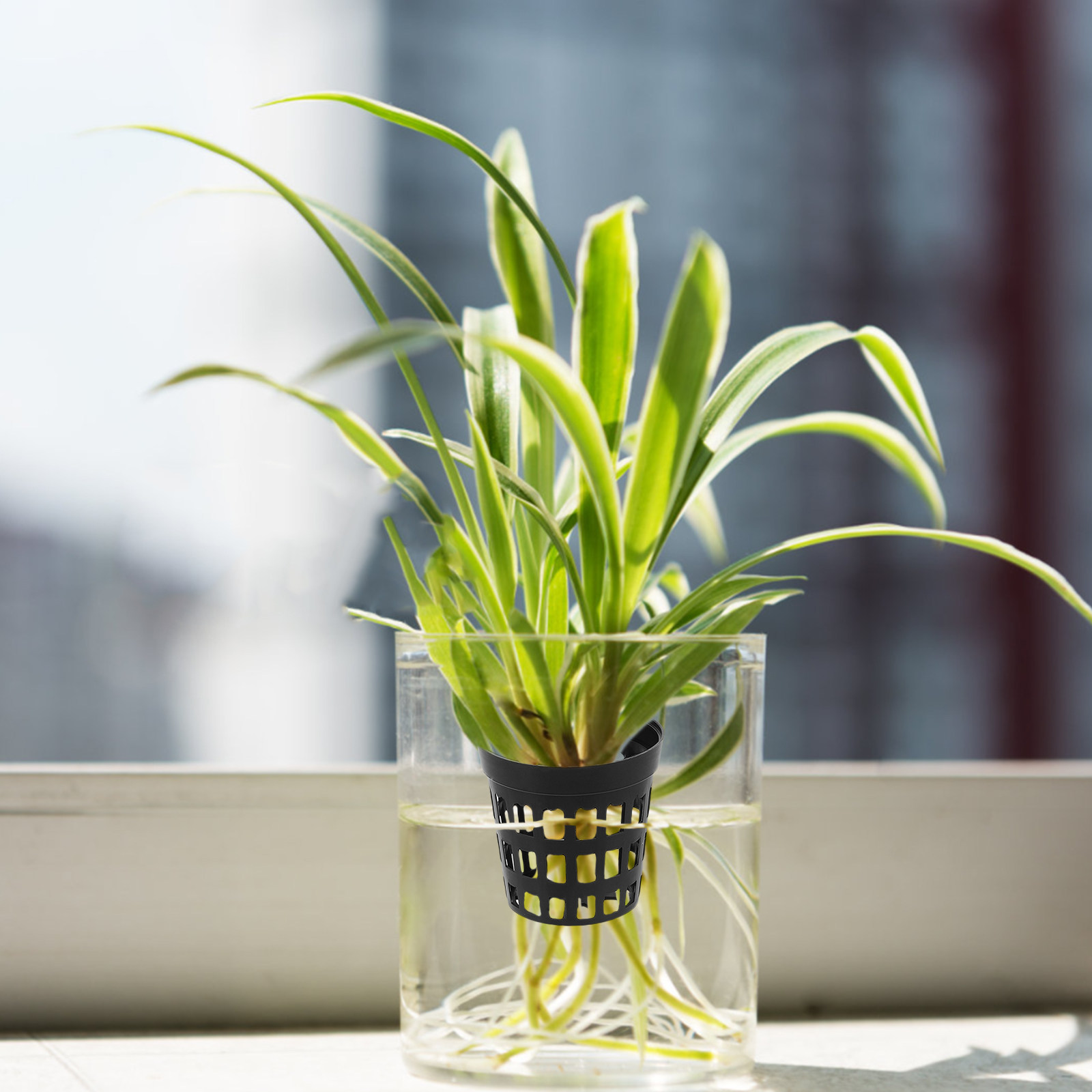 40Pcs Aquarium Plant Holder Pl – обзор и цена Aquarium Planting