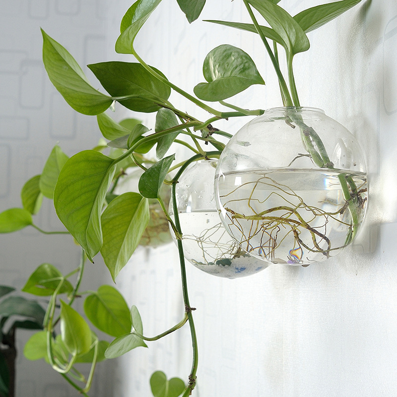 Wall Hanging Acrylic Fish Bowl – обзор и цена Aquarium Planted Wall