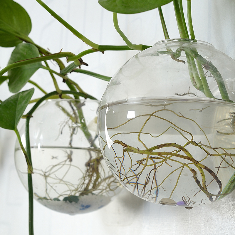 Wall Hanging Acrylic Fish Bowl – обзор и цена Aquarium Planted Wall