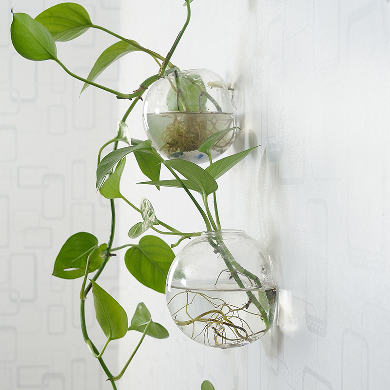 Wall Hanging Acrylic Fish Bowl – обзор и цена Aquarium Planted Wall