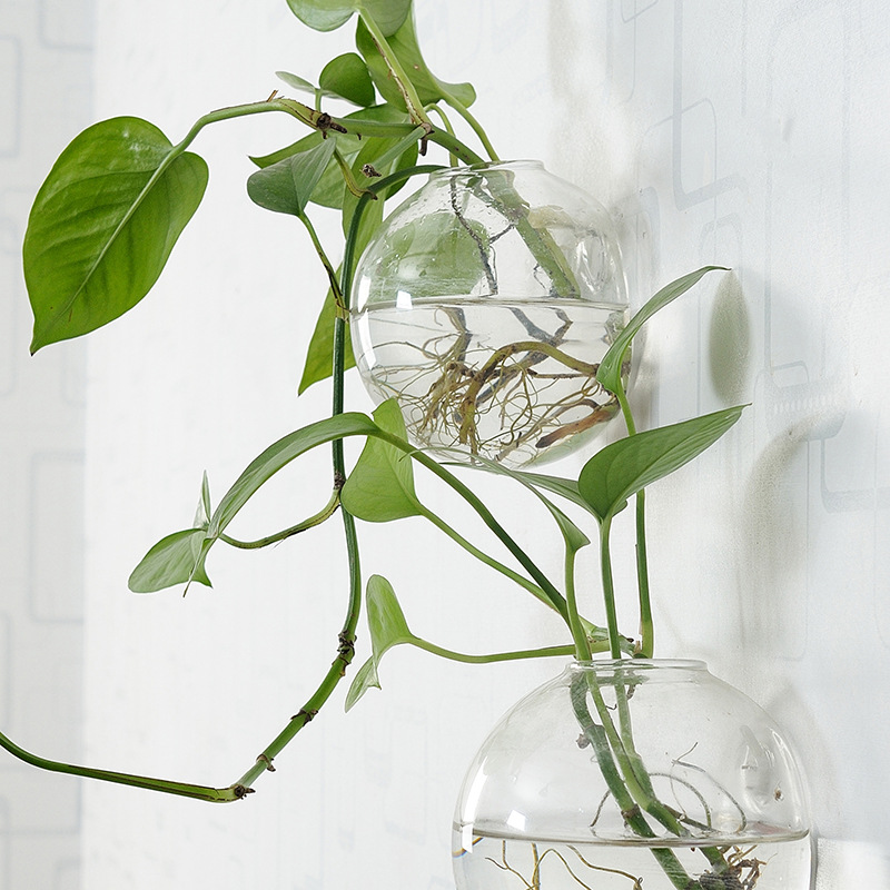 Wall Hanging Acrylic Fish Bowl – обзор и цена Aquarium Planted Wall
