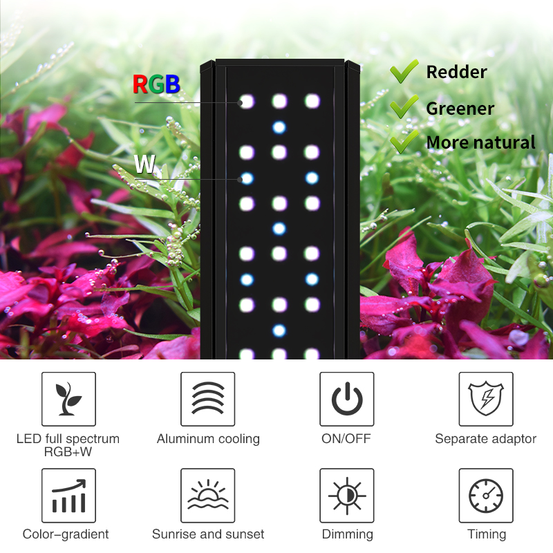 ZXY Hot Sale WEEKAQUA V400 WRG – обзор и цена Planted Aquarium For Sale