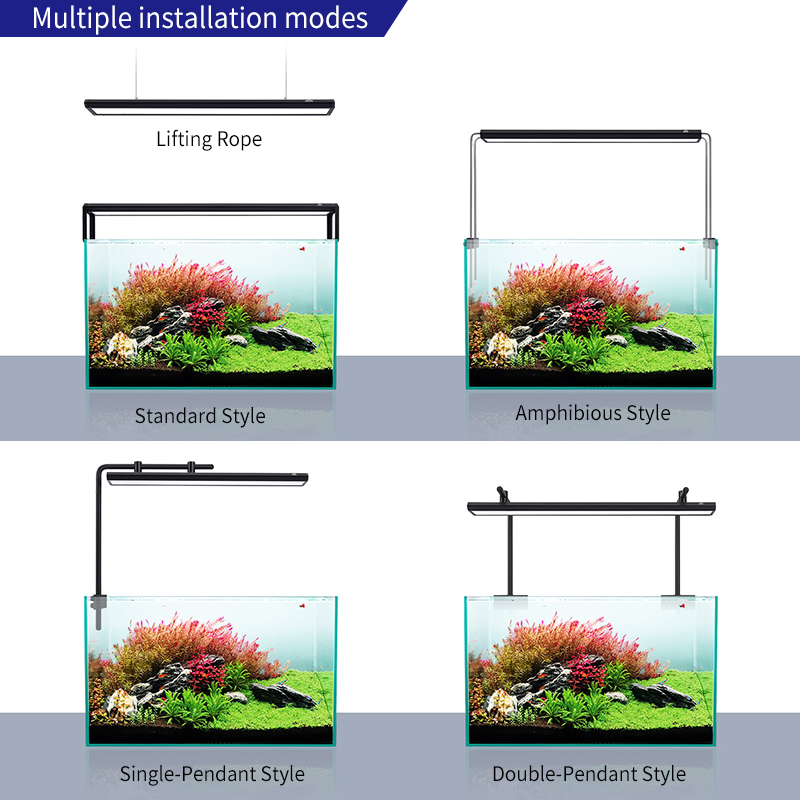 ZXY Hot Sale WEEKAQUA V400 WRG – обзор и цена Planted Aquarium For Sale