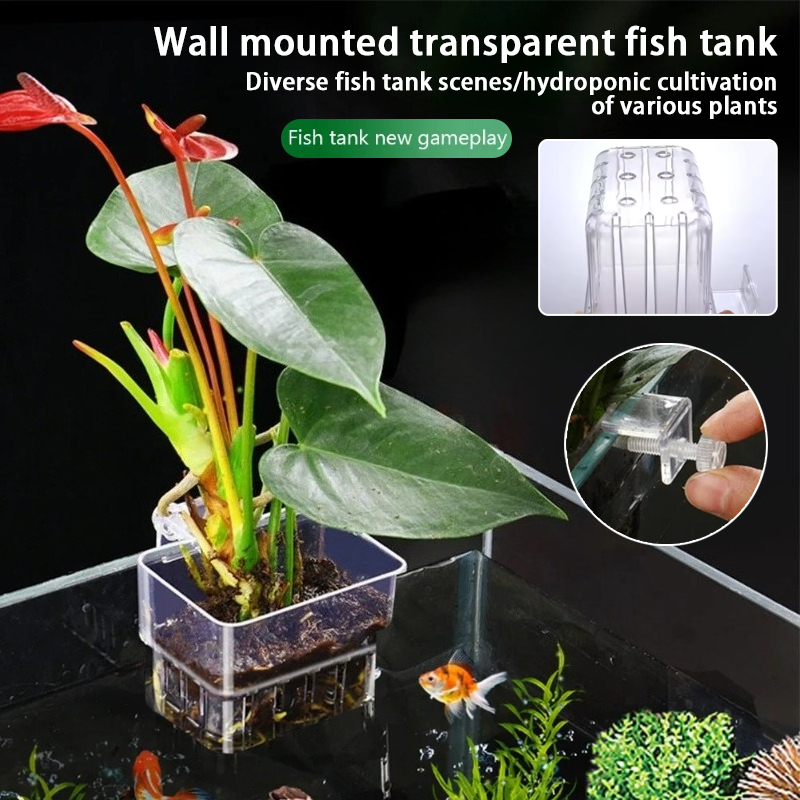 Aquarium Hanging Planter Cups  – обзор и цена Aquarium Planted Wall