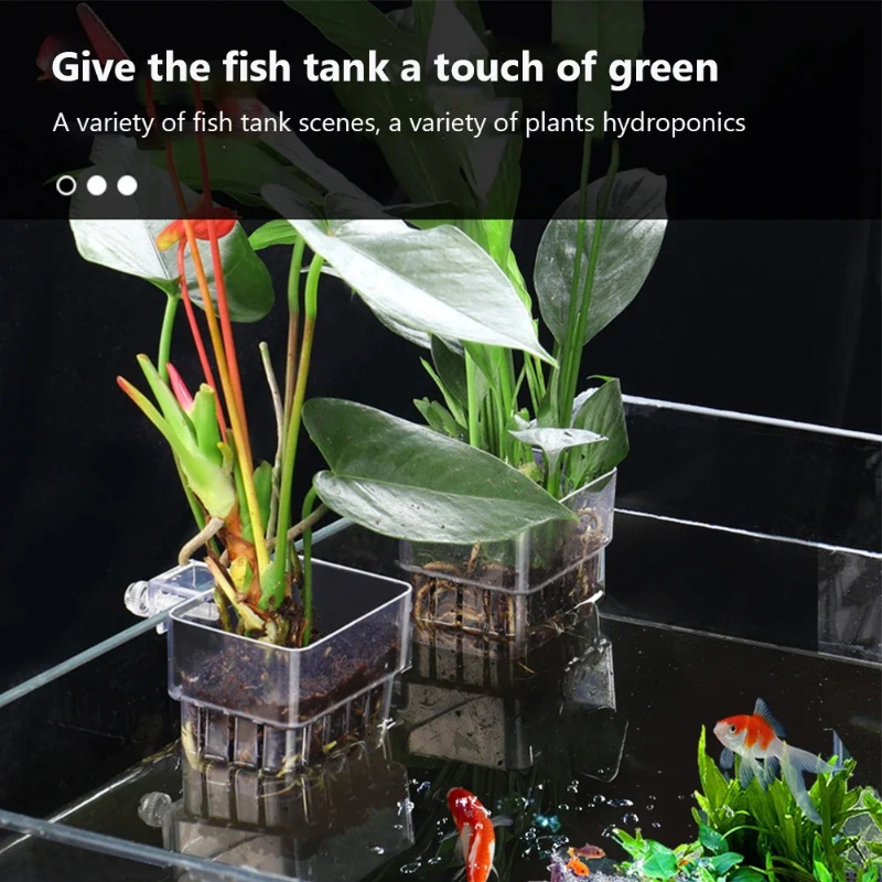 Aquarium Hanging Planter Cups  – обзор и цена Aquarium Planted Wall