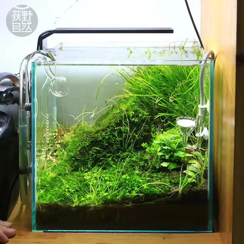Chihiros C Series ADA Style Pl – обзор и цена Planted Aquarium Mini