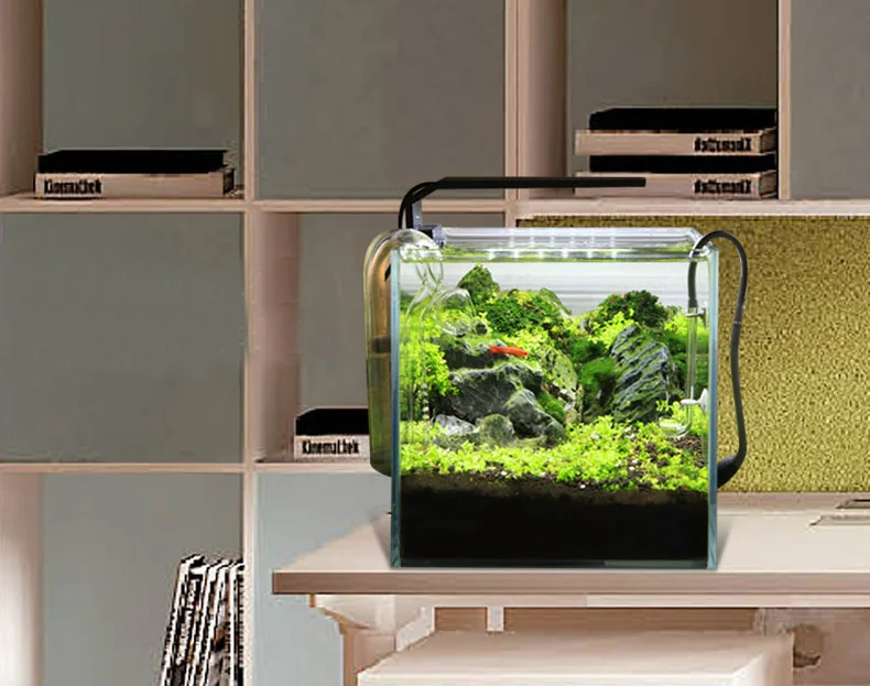 Chihiros C Series ADA Style Pl – обзор и цена Planted Aquarium Mini