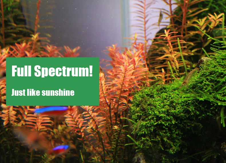 Chihiros C Series ADA Style Pl – обзор и цена Planted Aquarium Mini