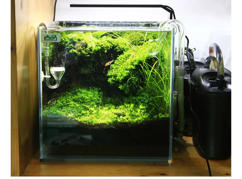 Chihiros C Series ADA Style Pl – обзор и цена Planted Aquarium Mini