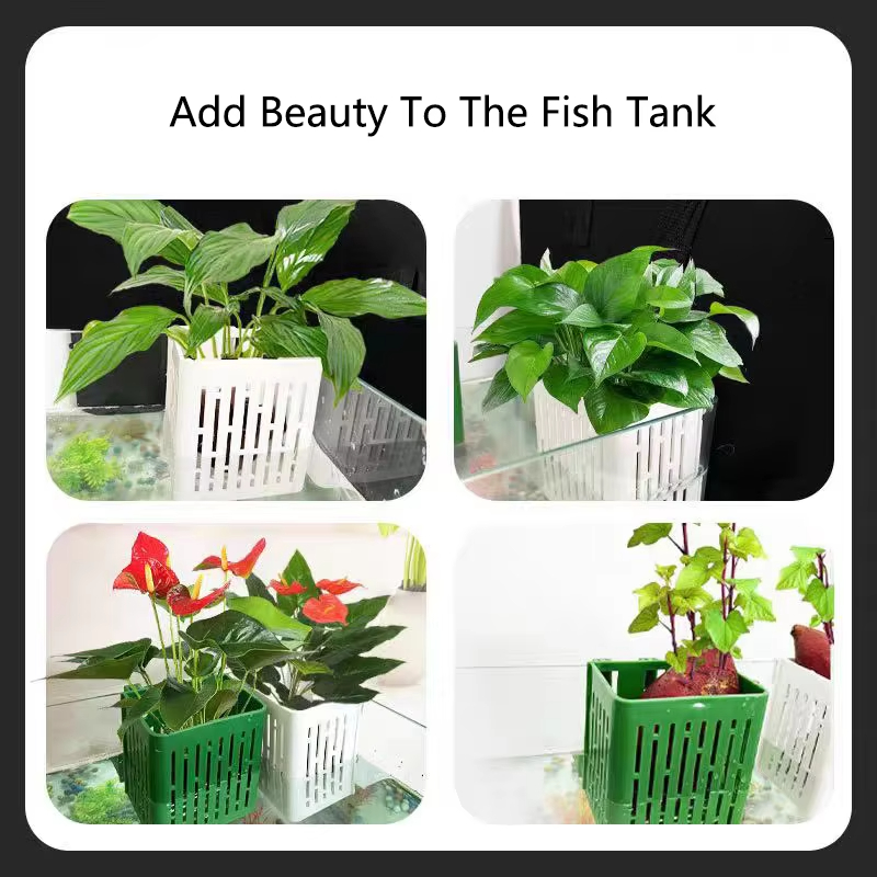 Fish Tank Water Grass Cup Aqua – обзор и цена Aquarium Planted Wall