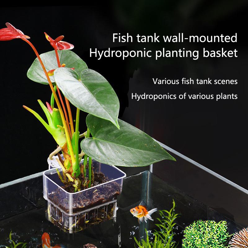 Aquarium Hydroponic Planting C – обзор и цена Aquarium Planted Tank Setup