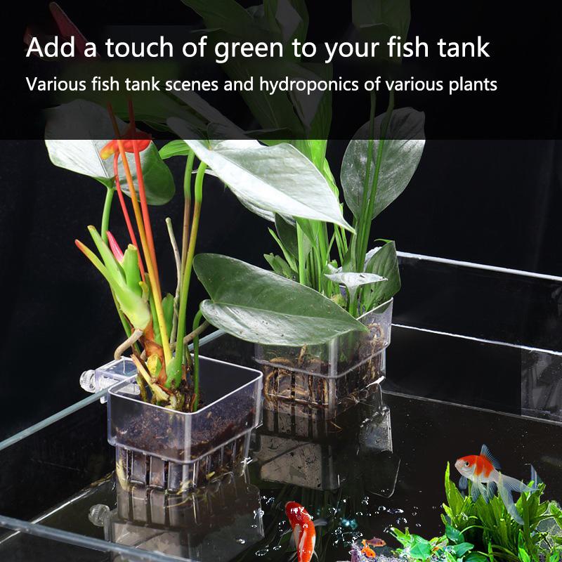 Aquarium Hydroponic Planting C – обзор и цена Aquarium Planted Tank Setup
